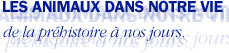 les animaux dans notre histoire